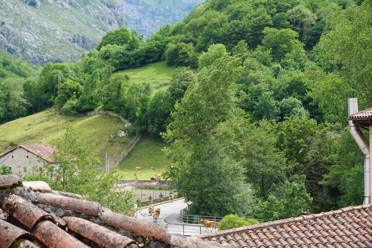 Apartahotel Montecaoru Arenas De Cabrales Bagian luar foto